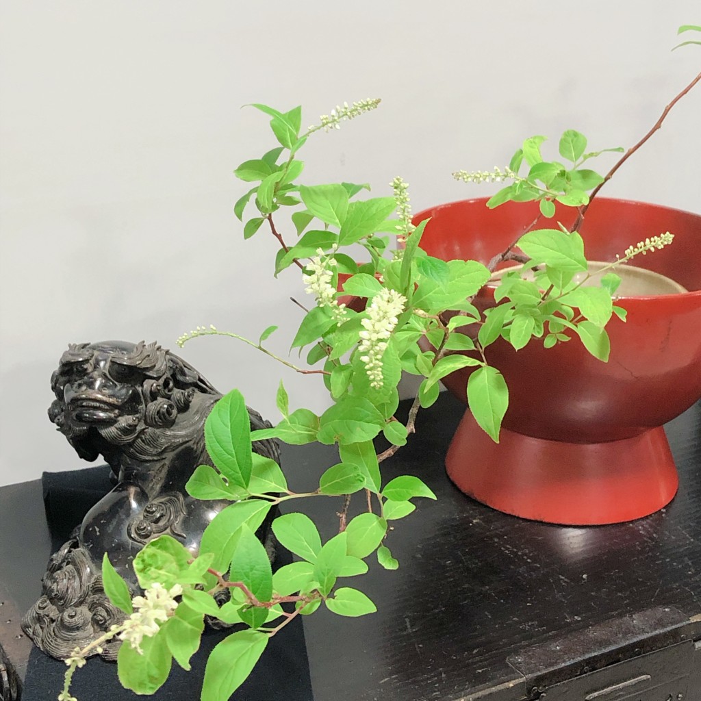 アンティークのある暮らし〜季節の花 骨董舎 - 古好屋 ブログ アンティークのある暮らし〜季節の花 骨董舎 - 古好屋 ブログ